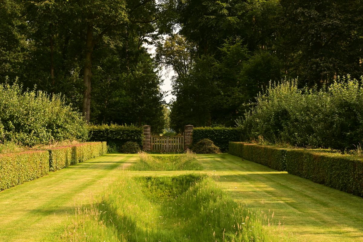 Allée de jardin bordée de verdure