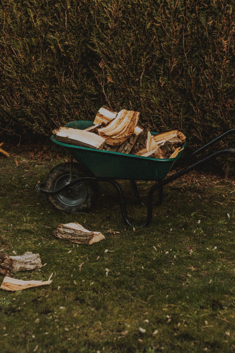 Brouette de bois coupé au jardin