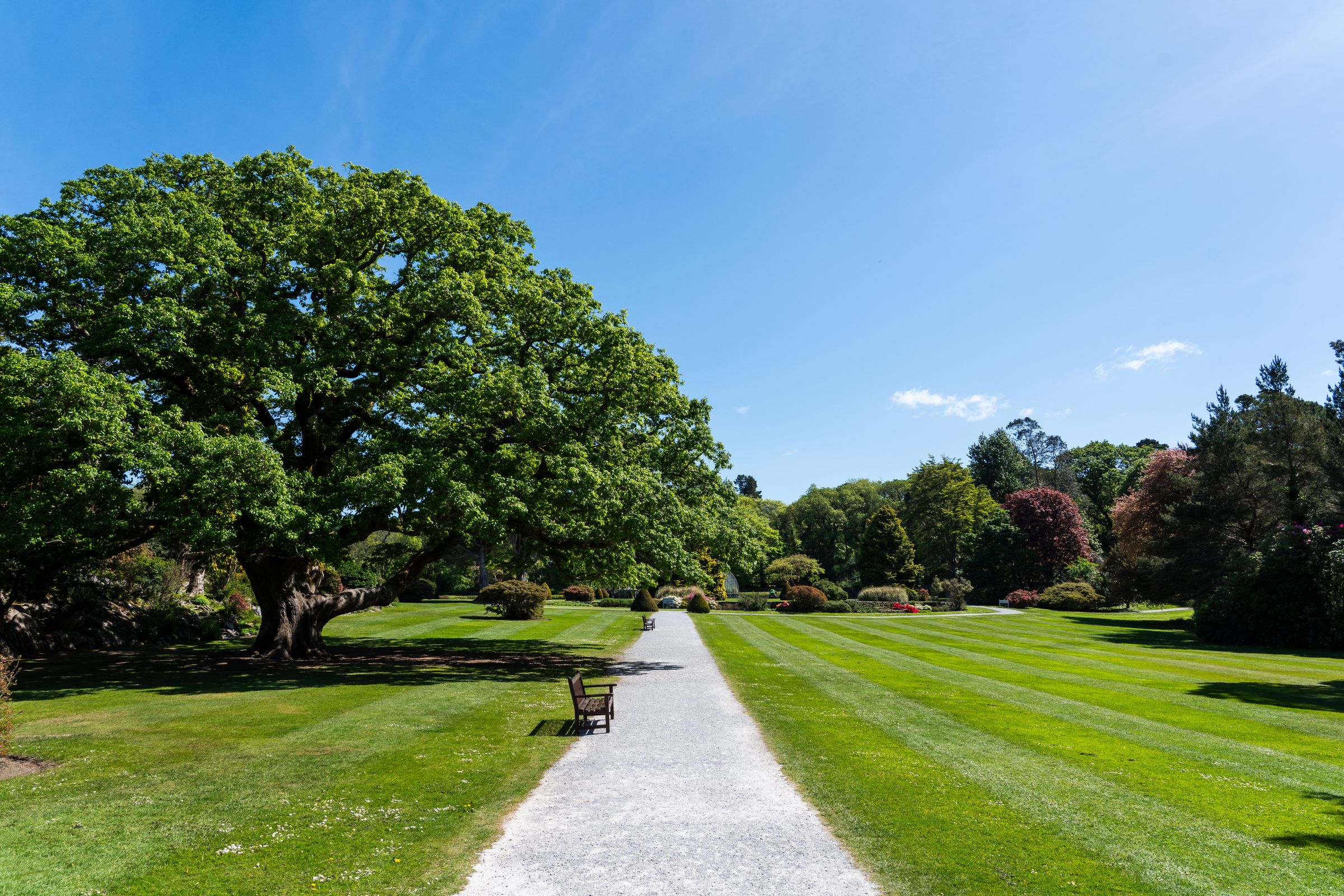 Jardin arboré et allée verdoyante